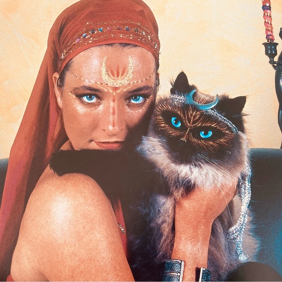 Why Paint Cats Feline Aesthetics Soft Cover Book - Picture 8 of 12